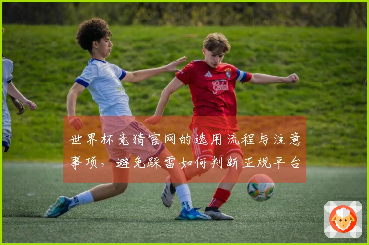 世界杯竞猜官网的选用流程与注意事项,避免踩雷如何判断正规平台